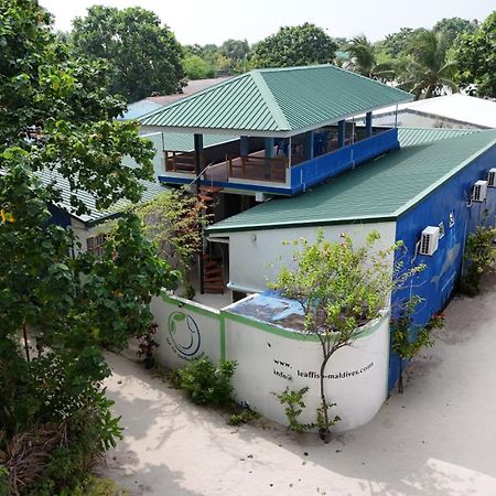 Leaf Fish Guesthouse Maldives Keyodhoo (Vaavu Atoll) Exterior foto