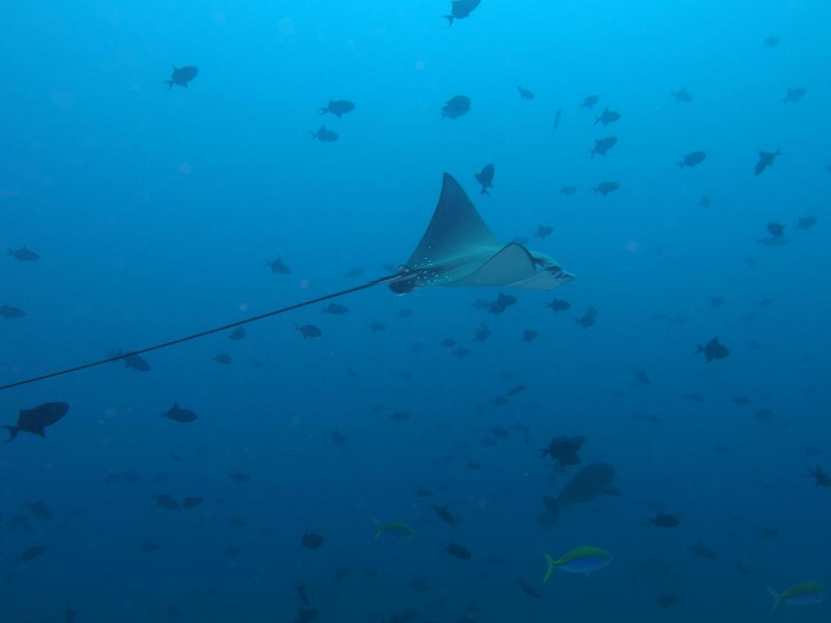 Leaf Fish Guesthouse Maldives Keyodhoo (Vaavu Atoll) Exterior foto