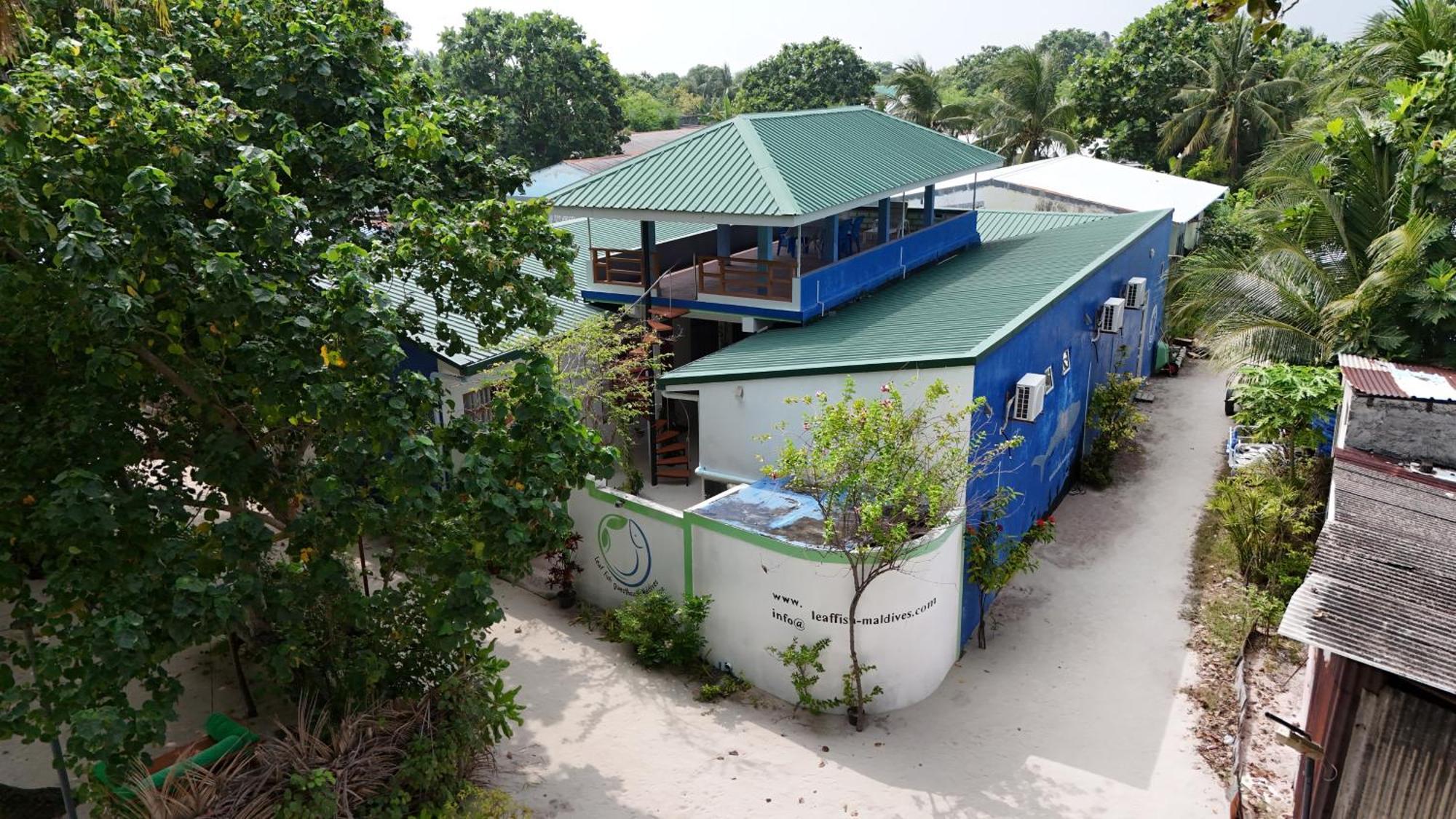 Leaf Fish Guesthouse Maldives Keyodhoo (Vaavu Atoll) Exterior foto